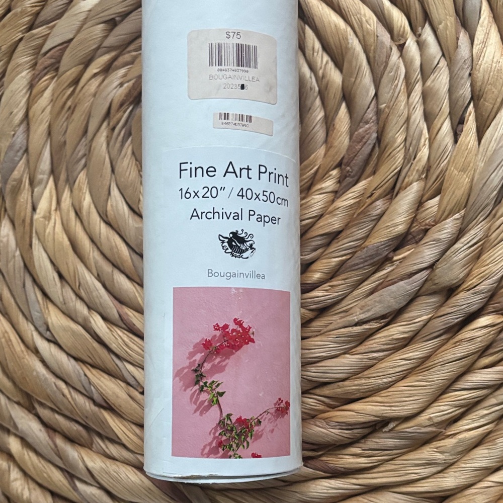 Bougainvillea Fine Art Print - Pink Floral 16x20